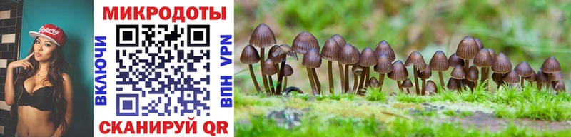 Псилоцибиновые грибы GOLDEN TEACHER  площадка телеграм  Павловская  купить закладку 