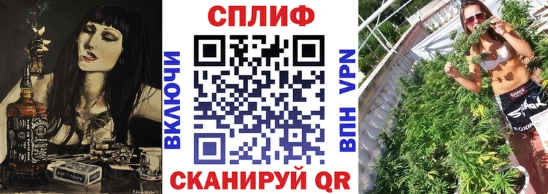 Каннабис планчик  где продают наркотики  Павловская 